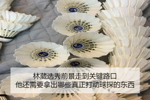 林葳选秀前景走到关键路口 他还需要拿出哪些真正打动球探的东西